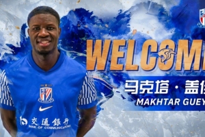 东体:申花新援盖伊优势和短板都很突出,对抗和冲击力值得期待