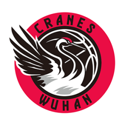 湖北女篮 湖北女篮